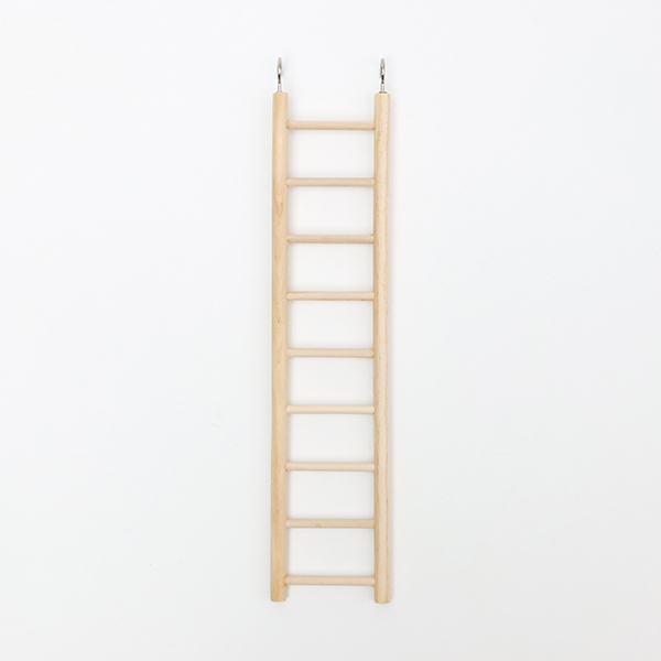 ³ª¹« »ç´Ù¸® (9Ä)